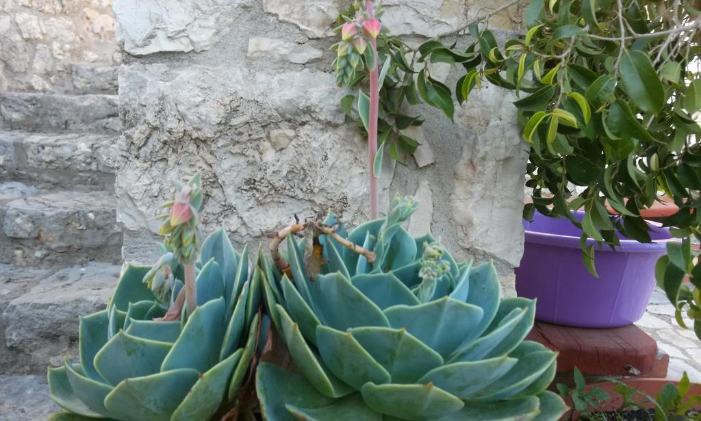 Porto Poros Διαμέρισμα Μικρός Γιαλός Εξωτερικό φωτογραφία